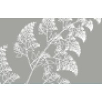 Terra Viva Consulting