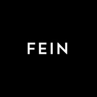 FEIN logo - Similar company to Fein-Ai