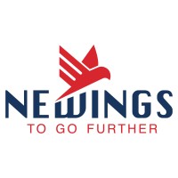 Newings - International Business Solutions logo - Similar company to Kinda Socks