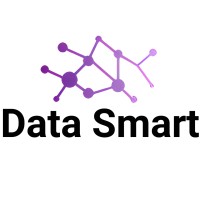 Data Smart Tecnologia logo - Similar company to Light System Software