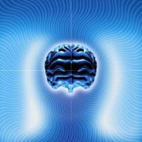 Brainwaave Interactive P/L logo - Similar company to U1 Group