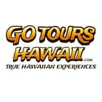 Go Tours Hawaii logo - Similar company to World Wide Travel & Tours