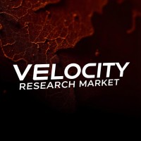 Velocity Research Market logo - Similar company to Care Access