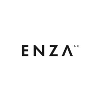 Enza Inc logo - Similar company to Willtron Technologies Gmbh