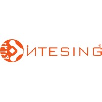INTESING logo - Similar company to Extend Solutions Sa De Cv