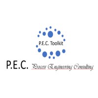 P.E.C. Consulting logo - Similar company to Mindfaqturing