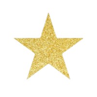 Goldster logo - Similar company to Tailleur