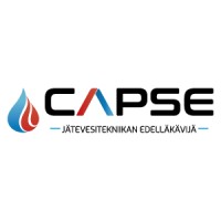 Capse logo - Similar company to Capse Nc
