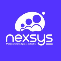 Nexsys logo - Similar company to Import Solution Hk