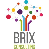 Brix Consulting logo - Similar company to Brix Consulting
