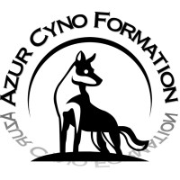 Azur Cyno Formation logo - Similar company to Sud Est Securite