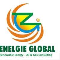 Zenelgie Global Solutions logo - Similar company to Hareem Istanbul