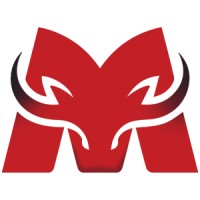 Metal Bulls Technology LLP logo - Similar company to Everydaysure Consulting