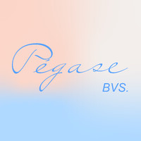Pegase Bvs logo - Similar company to Line