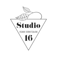 Studio 16 logo - Similar company to Afte.Info