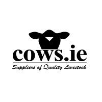 cows.ie logo - Similar company to Global Digital Solutions & Services