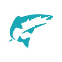 Salmon Software Limited logo - Similar company to Moochies Technologies Ltd (Legacy)