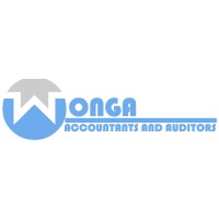 WONGA Accountants and Auditors logo - Similar company to OHS Business Advisors and Chartered Accountants