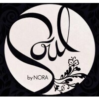 Soul by Nora logo - Similar company to Animaat