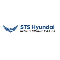 STS Hyundai logo - Similar company to Brothers Enterprises