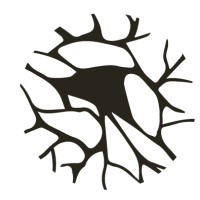 Centro de Estudos de Comunicação e Sociedade logo - Similar company to Ceis20