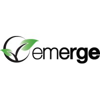 Emerge Today