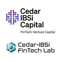 Cedar-IBSi Capital & FinTech Lab logo - Similar company to Making Finance Work For Africa (Mfw4A)