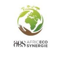 AFRIC ECO SYNERGIE logo - Similar company to Ginseng Web