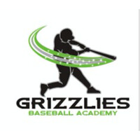 Grizzlies Baseball Academy logo - Similar company to It - Risch Gmbh