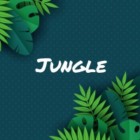 Jungle Consulting logo - Similar company to Jungle Courses - Онлайн Іт Академія
