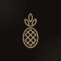 Pineapple Enterprise logo - Similar company to Ma Nolan'S Irish Pubs