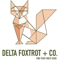 Delta Foxtrot + CO. logo - Similar company to Flyvalue Srl