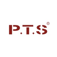 PTSecurity Technology logo - Similar company to Positive Security