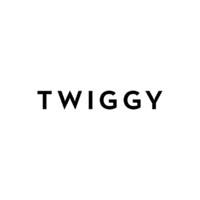TWIGGY logo - Similar company to Twigy