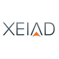 XEIAD logo - Similar company to Bes Group