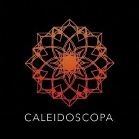 C A L E I D O S C O P A logo - Similar company to Ez Group