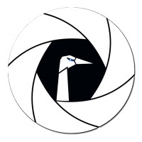 Swanarchy logo - Similar company to Jeddxm