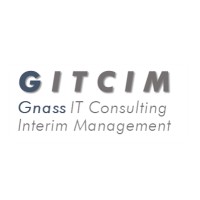 Gnass IT Consulting & Interim Management logo - Similar company to Motion E-Commerce Gmbh