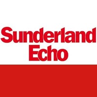 Sunderland Echo logo - Similar company to Ingram Av