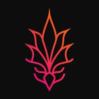 Pheniks-Studios logo - Similar company to Tripolis Business Support
