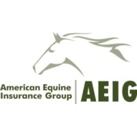 American Equine Insurance LTD logo - Similar company to Dapplebay