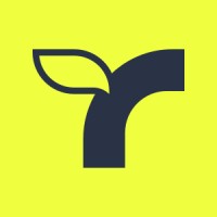 Yggdrasil Trees logo - Similar company to Hempitecture