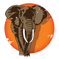 Indlovu Aerial Trust logo - Similar company to Grounded