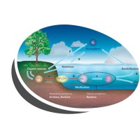 EOSYS logo - Similar company to Cjd Dunkerque