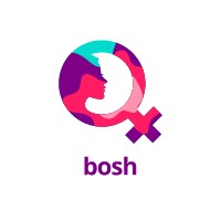 Bosh Networks logo - Similar company to Mayne