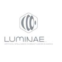 Luminae logo - Similar company to Plcplus