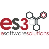eSoftware Solutions logo - Similar company to Rapidstudio