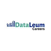 Dataleum Careers logo - Similar company to Testassessify