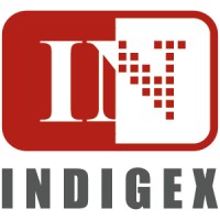 INDIGEX logo - Similar company to New Endeavors By Women