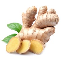 NextHealth Export-Import JSC (Fresh Ginger) logo - Similar company to Aant Cosmetics Ltd